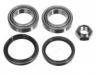 轴承修理包 Wheel bearing kit:B001-33-042