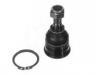 Joint de suspension Ball joint:40160-4F100