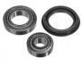轴承修理包 Wheel bearing kit:5 007 029