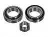 Radlagersatz Wheel bearing kit:5 020 656
