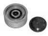 Idler Pulley:457 200 11 70