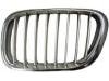 Grill Assembly:51 13 8 250 052